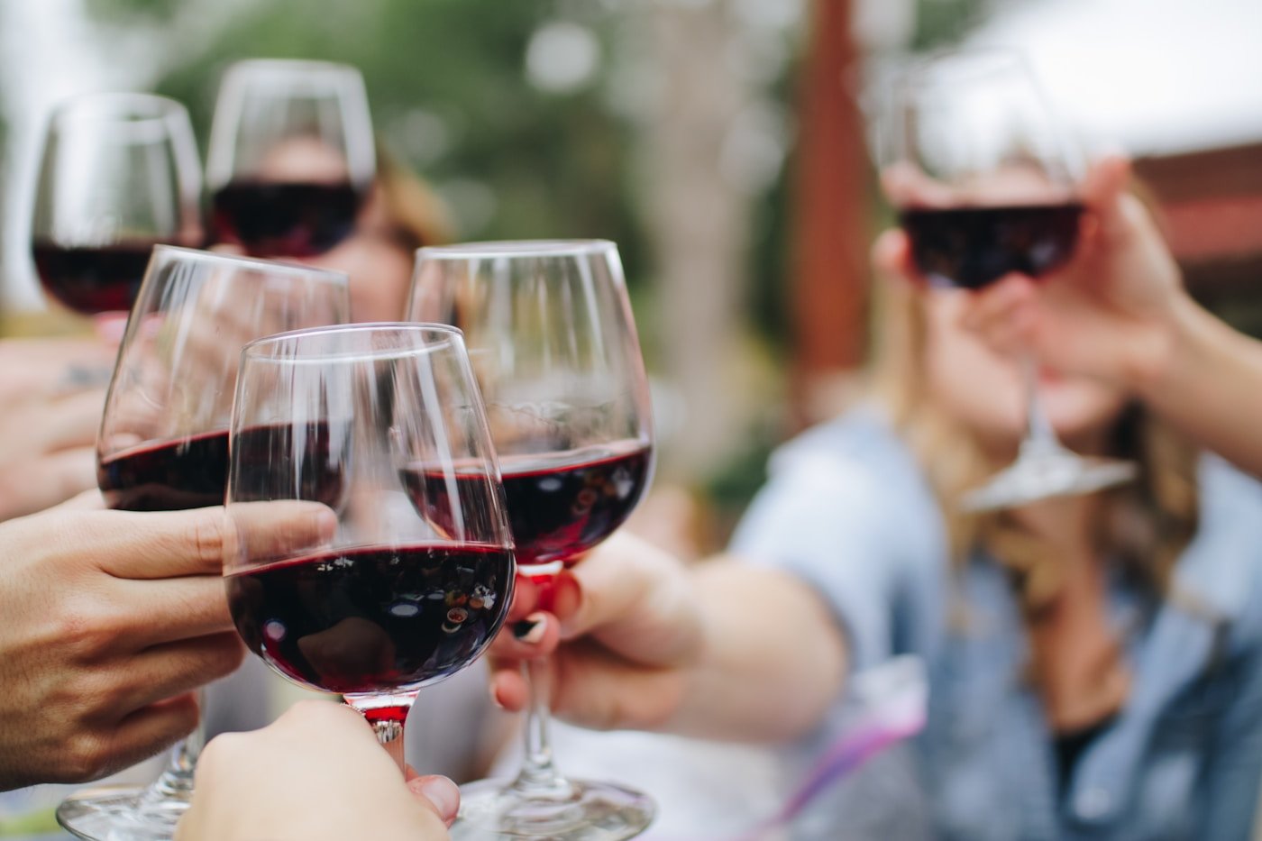 Malbec argentino · curaduría de Mendoza